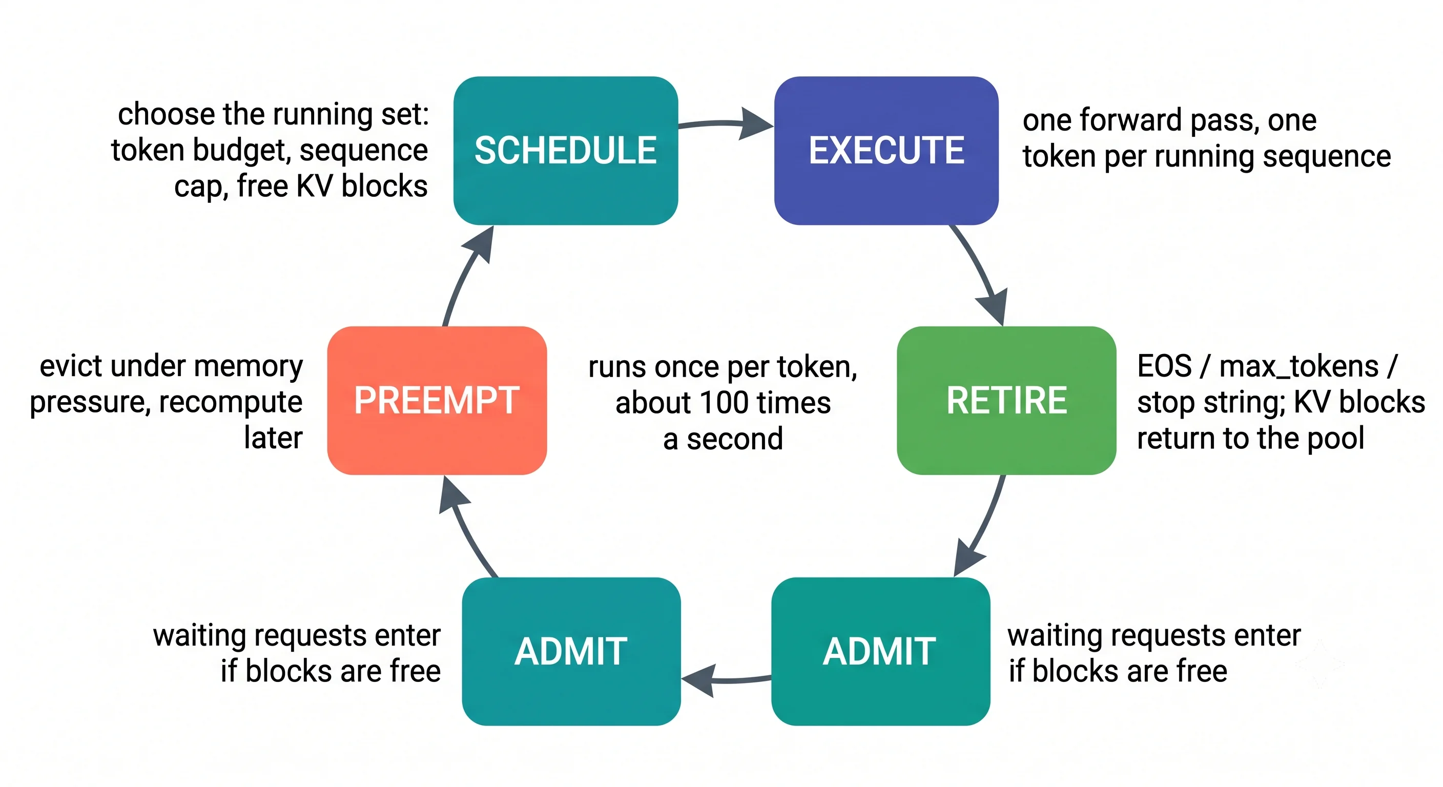 A circular flow diagram of the engine step loop with five labelled stages arranged clockwise:
schedule, execute, retire, admit, preempt, with an arrow returning from preempt to schedule. Each
stage has a short annotation: schedule is constrained by token budget, sequence cap and free blocks;
execute is one forward pass producing one token per running sequence; retire frees KV blocks back to
the pool; admit pulls in waiting requests; preempt evicts under memory pressure. A caption reads
"this entire loop runs once per token, roughly a hundred times a
second"